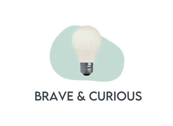 image of a light bulb for brave and curious value