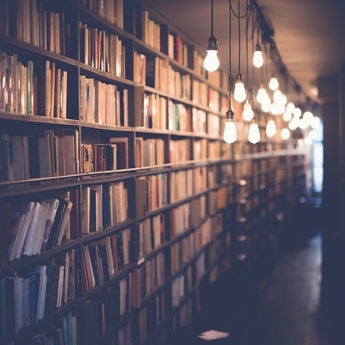 library with books on shelves all along the wall with dimmed lights along a corridor