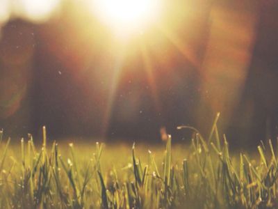 industries-not-for-profit