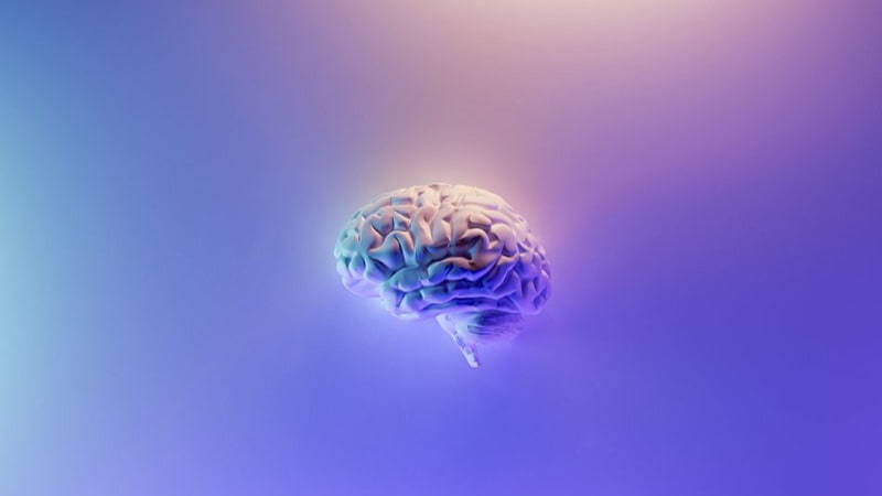 Trusting neuroscience to build motivated and resilient teams